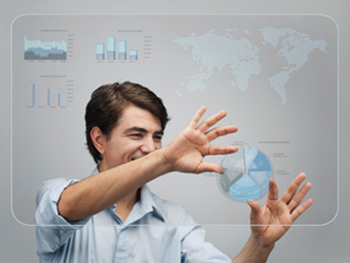 Field Sales Information System