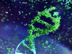 Supply chain management “How PharmaNET helped a leading Clinical Research Organization